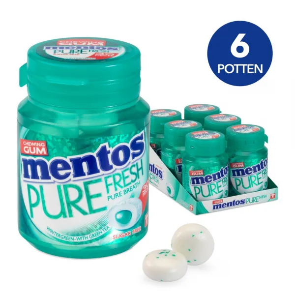 Mentos Gum Wintergreen Bottle (6x 30 stuks)