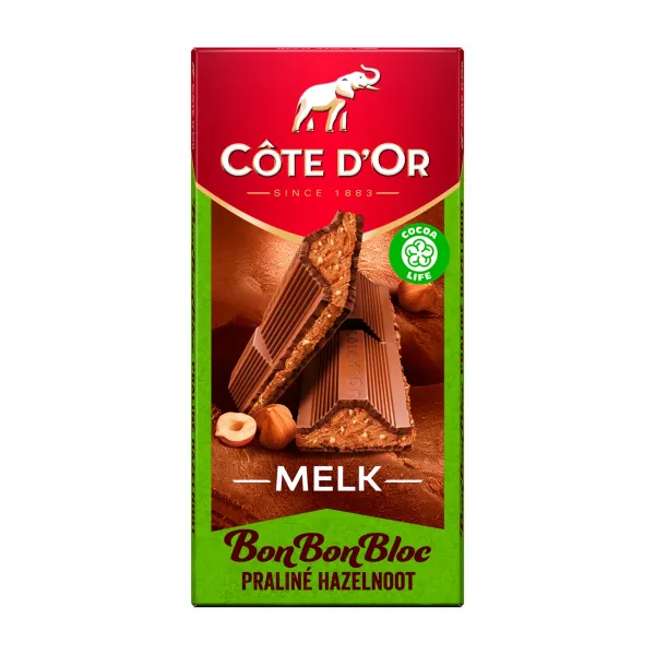 Cote d’Or BonBonBloc Noisette (15x 200gr)